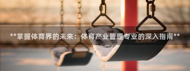 必一体育旧版：**掌