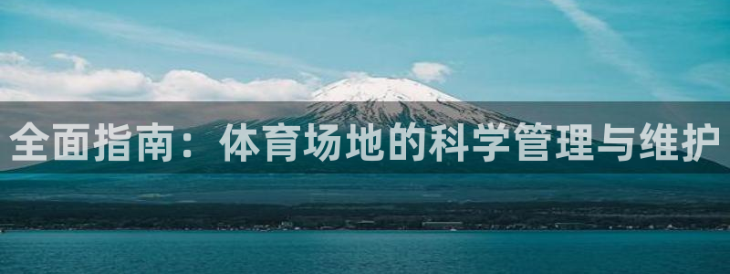 必一体育网页