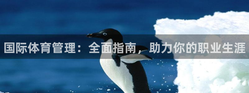 必一体育在线玩