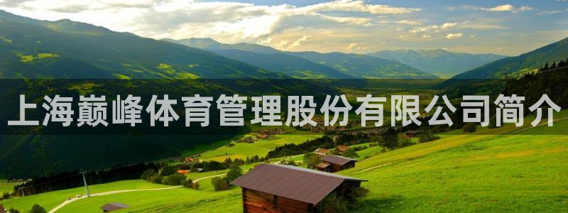 必一体育bsport