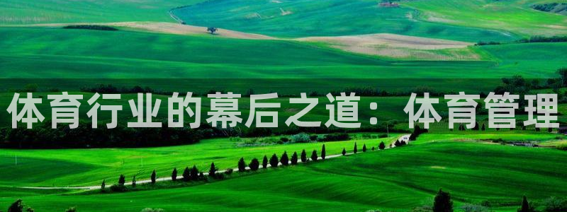 必一体育sport装