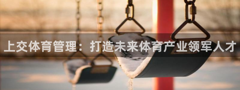 必一体育sport下