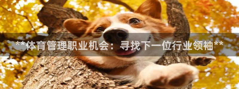 必一运动·(b-sports)官方网站