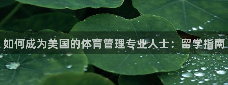 必一体育下载一样吗