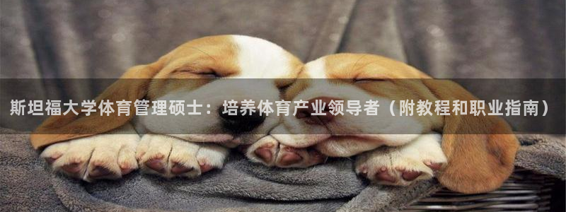 必一运动：斯坦福大学