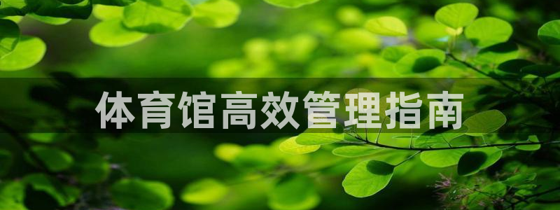必一体育游戏特色