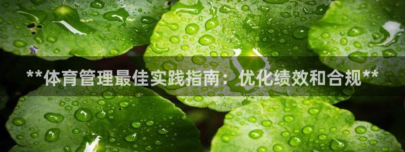 必一体育sport官