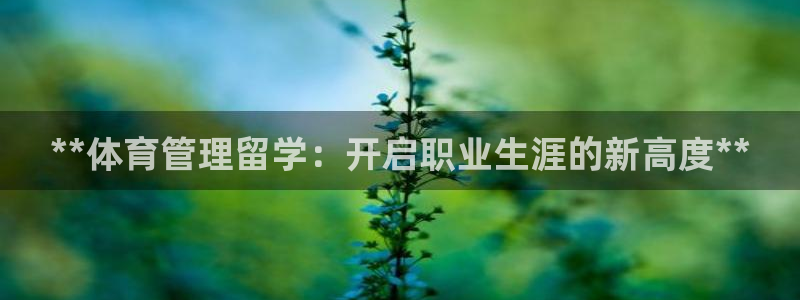 必一运动sport网