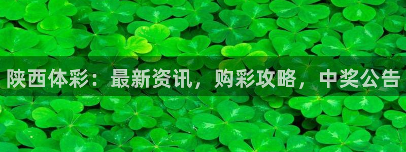 必一运动体育：陕西体