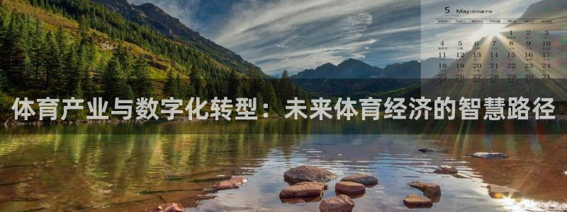 必一体育在哪下：体育