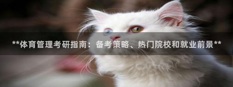 b体育必一运动网页版