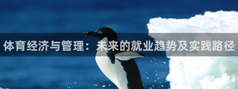 必一体育没了：体育经