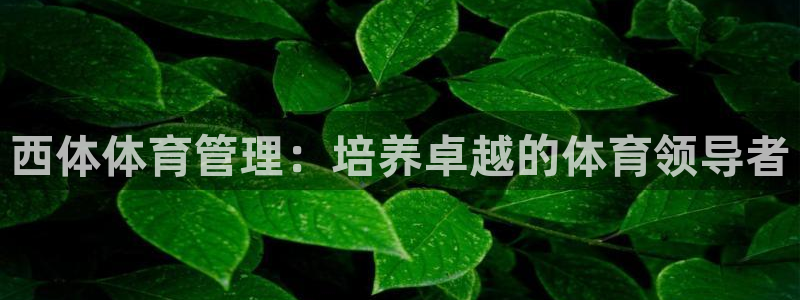 必一运动官网入口
