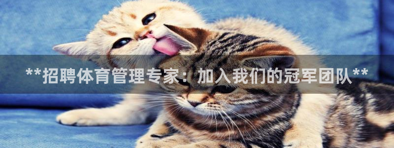 必一运动·体育：**