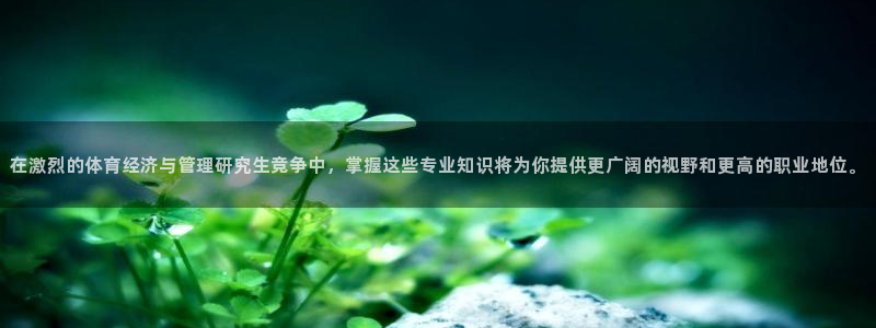 必一运动官网：在激烈