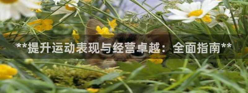 必一体育bsport