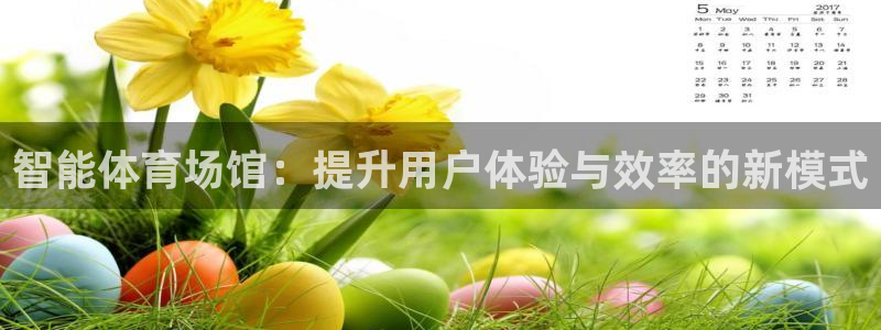 必一体育sport装