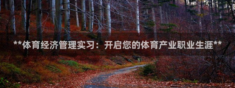 必一体育运动官网：**体育经济管理实习：开启您的体育产业职业