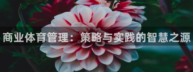 b体育官网下载入口app必一：商业体育管理：策略与实践的智慧