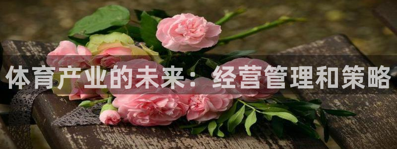氵必一一厂一：体育产