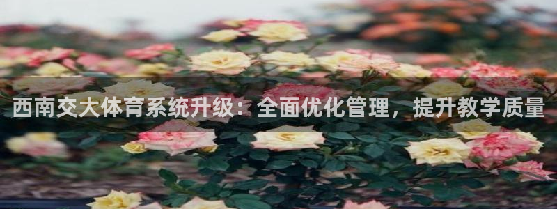 必一体育在线官网：西