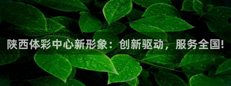 必一体育官网网址：陕