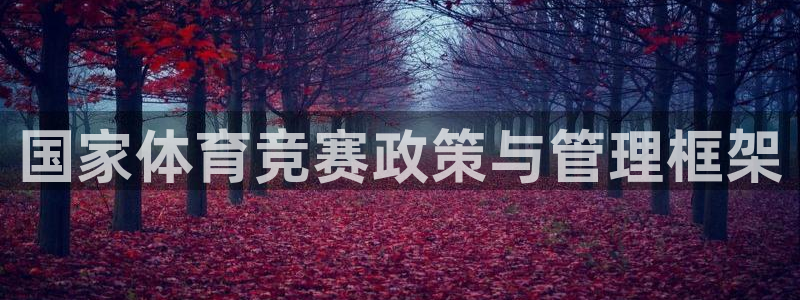 b体育必一下载：国家体育竞赛政策与管理框架