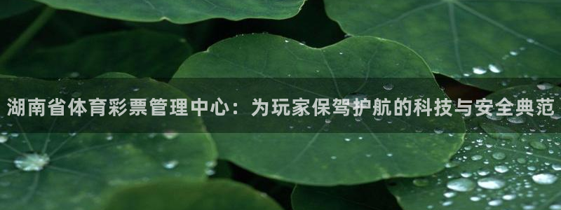 必一运动体育官网：湖
