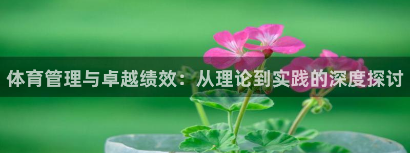 必一体育在线登陆：体