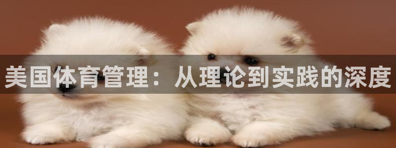 必一体育登录：美国体