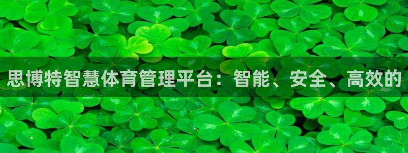 必一体育验证码：思博