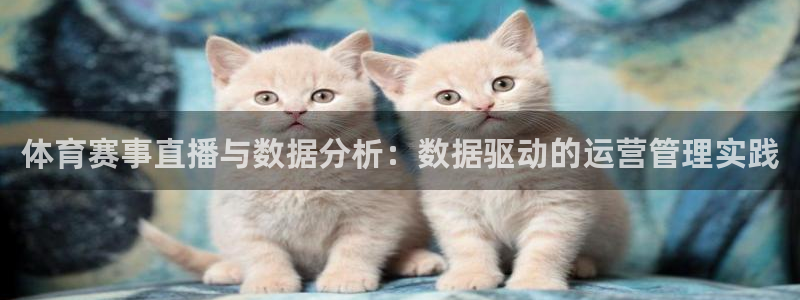 必一体育网页版登录：