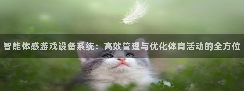 必一运动·(B-Sports)土豆：智能体感游戏设备系统：高
