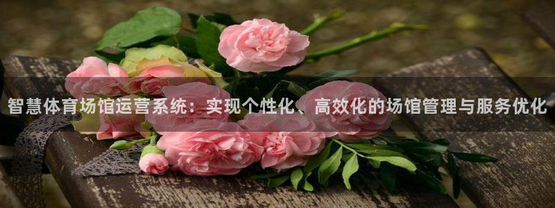 必一体育登录：智慧体