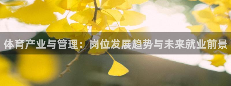 必一体育官网app：