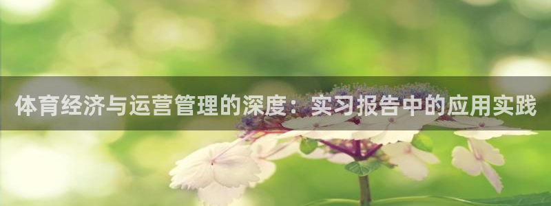 必一体育sportB