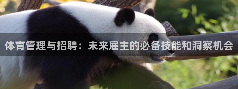 必一体育下载一样吗：