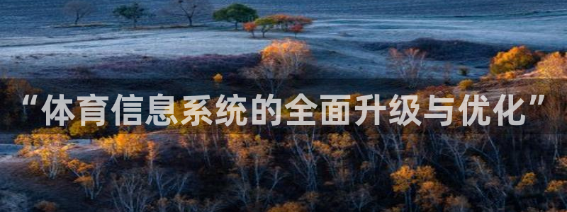 必一体育网页版登录：