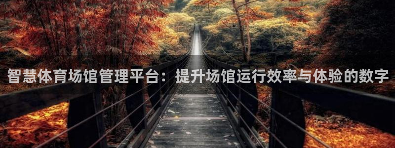 必一体育手机下载：智