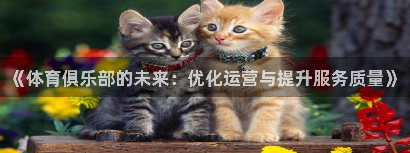 必一运动aop：《体