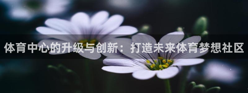 必一体育bsport2023-04-21：体育中心的升级与创