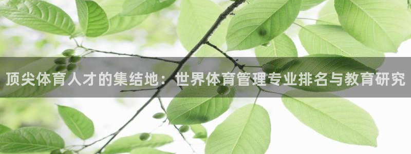 必一体育没了：顶尖体