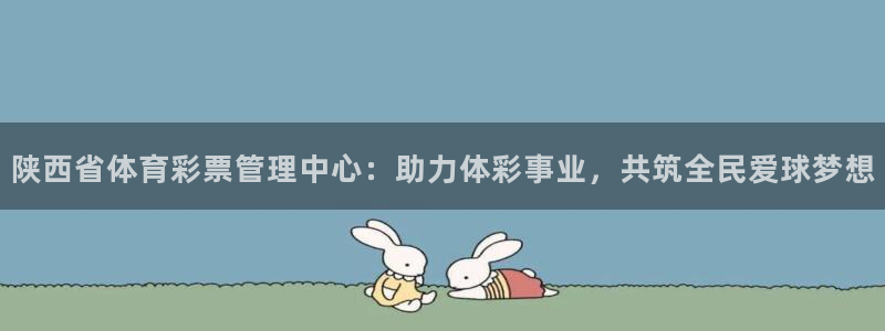 必一体育：陕西省体育