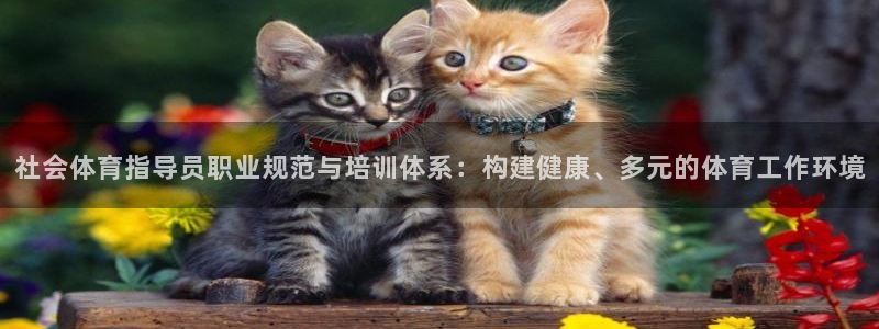 必一运动体育：社会体