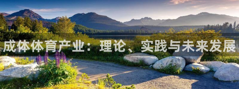 必一体育黑钱：成体体