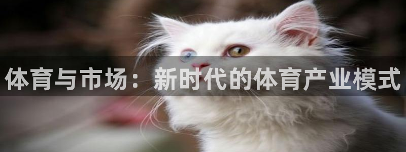 必一体育可靠吗：体育
