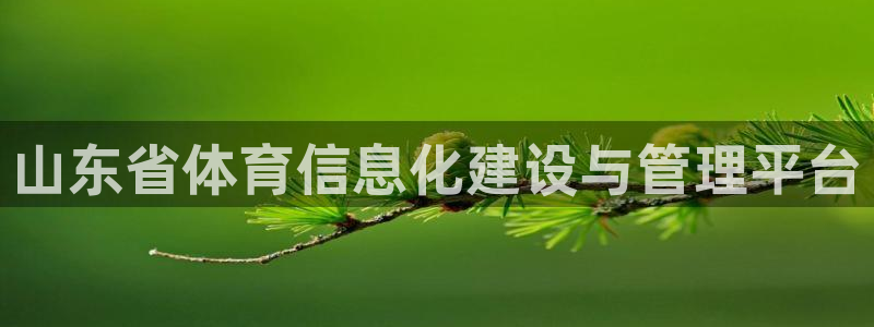 必一体育bsport