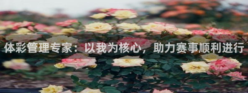 Bsport体育ap