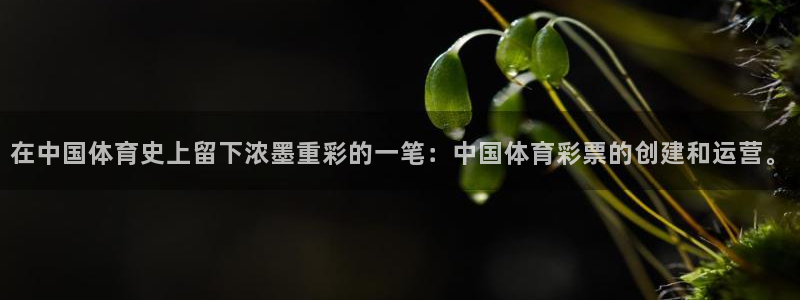 必一运动官网：在中国