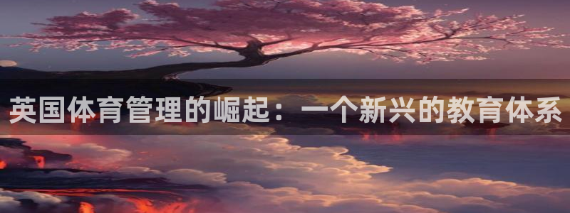 必一体育官网入口：英
